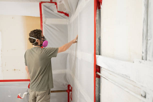 Best Mold Removal for HVAC Installations  in Harrodsburg, KY