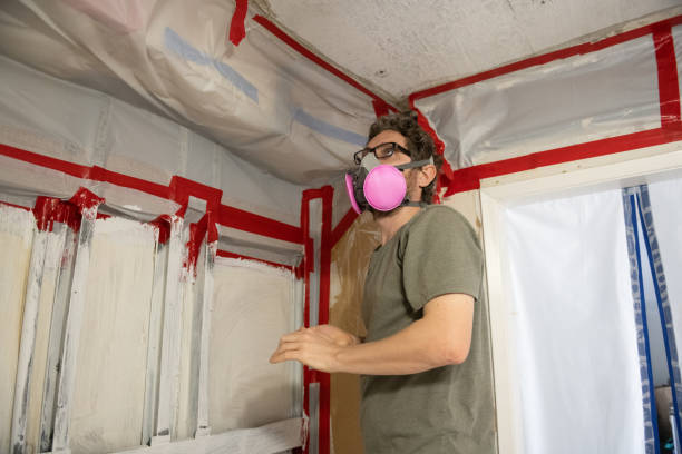 Best Asbestos and Lead Testing During Mold Inspection  in Harrodsburg, KY