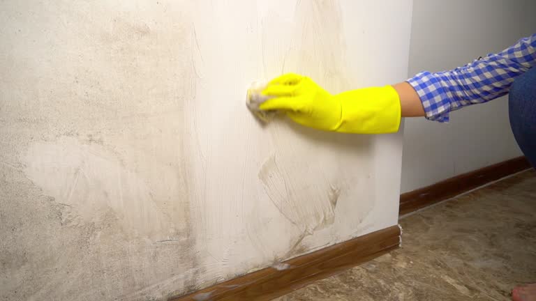 Best Industrial Mold Remediation  in Harrodsburg, KY