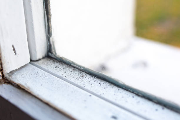 Best HVAC Mold Inspection and Cleaning  in Harrodsburg, KY