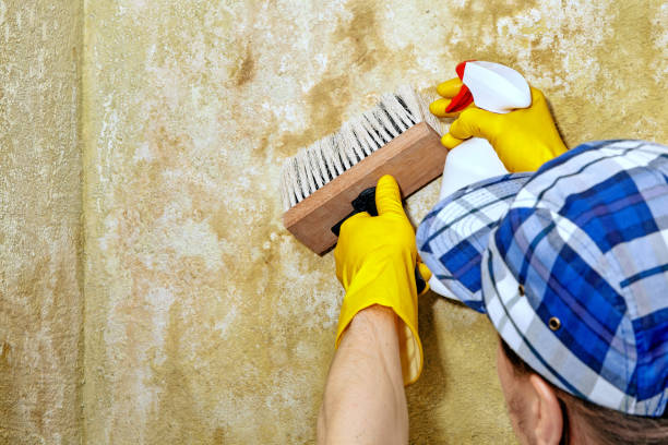 Best Indoor Air Quality Assessment  in Harrodsburg, KY