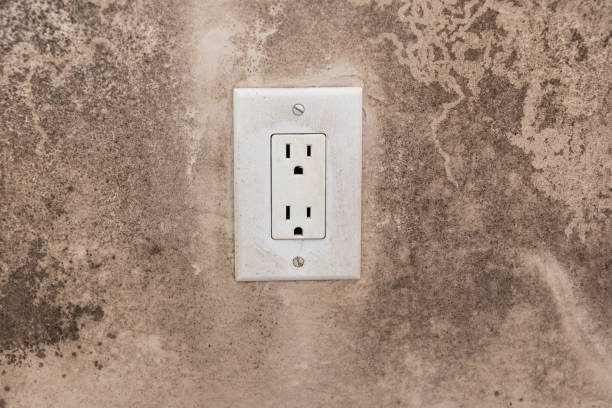 Trusted Harrodsburg, KY Mold Removal Experts