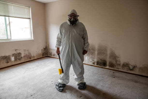 Best Post-Remediation Verification Testing  in Harrodsburg, KY